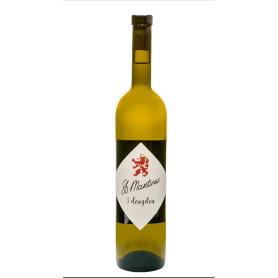 Sint Martinus 3 Deugden